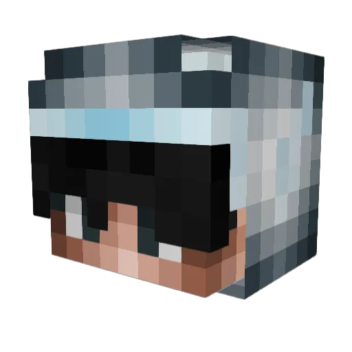 IchKaufebeiLidl Minecraft avatar head, 3D render