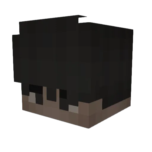 IchLiebePopos Minecraft avatar head, 3D render