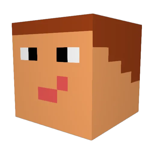 IchRegDichAuf Minecraft avatar head, 3D render
