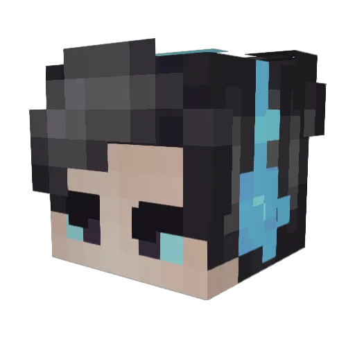 Ich_kaufe_doener Minecraft avatar head, 3D render