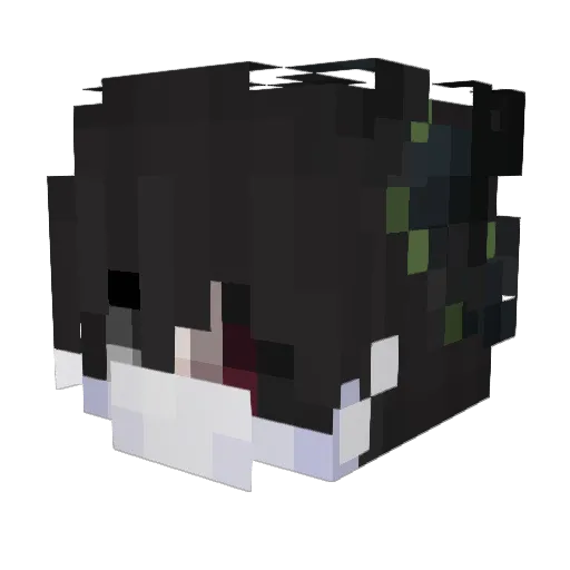 IchhassemeinWlan Minecraft avatar head, 3D render