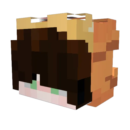 Ichoran Minecraft avatar head, 3D render
