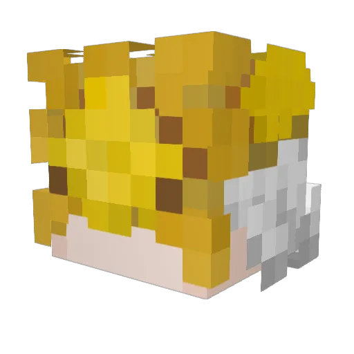 Ichthy01 Minecraft avatar head, 3D render