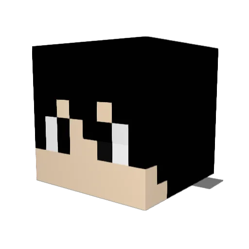 Icicle6147 Minecraft avatar head, 3D render