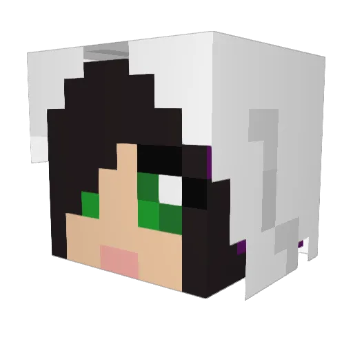 IcicleSinner Minecraft avatar head, 3D render