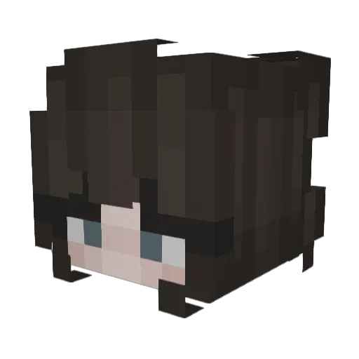 IcicleWarrior77 Minecraft avatar head, 3D render