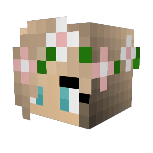 IcingQueen63 Minecraft avatar head, 3D render