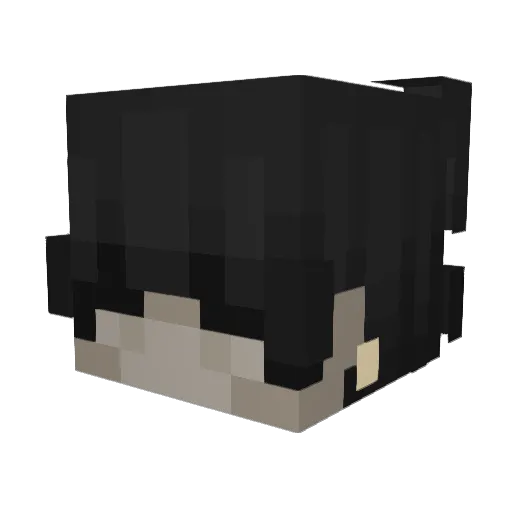 Iconn1 Minecraft avatar head, 3D render