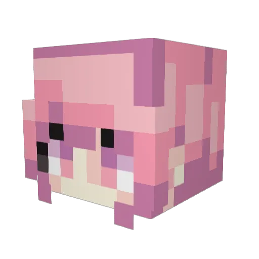 Ictpo Minecraft avatar head, 3D render