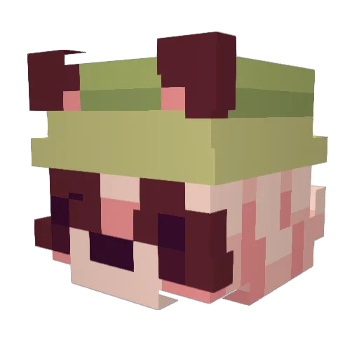 IcyArcher22 Minecraft avatar head, 3D render