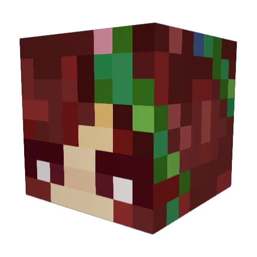 IcyFeather Minecraft avatar head, 3D render