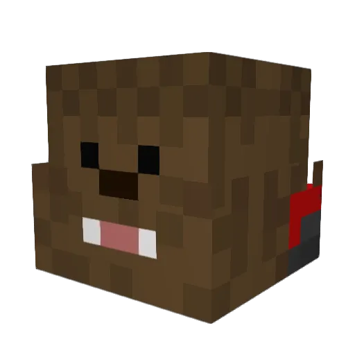 IcyFever10 Minecraft avatar head, 3D render