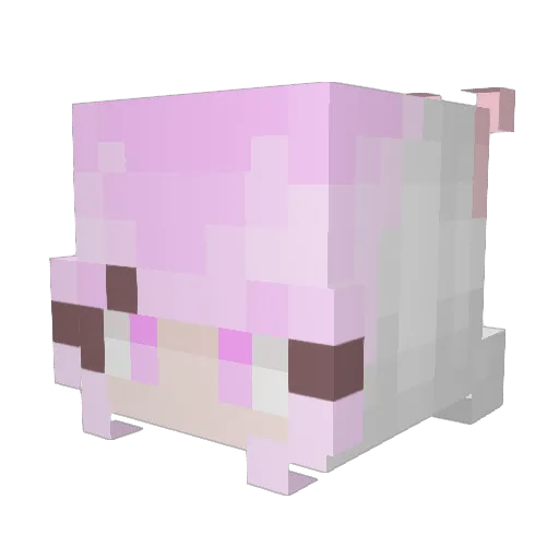 IcyFox469 Minecraft avatar head, 3D render