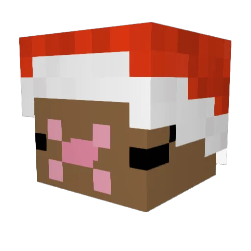 IcyM07 Minecraft avatar head, 3D render