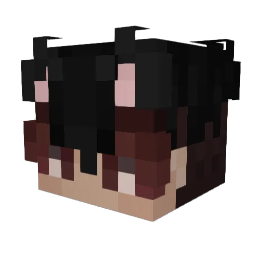 IcyMeerkat Minecraft avatar head, 3D render
