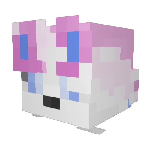 IcyNova Minecraft avatar head, 3D render