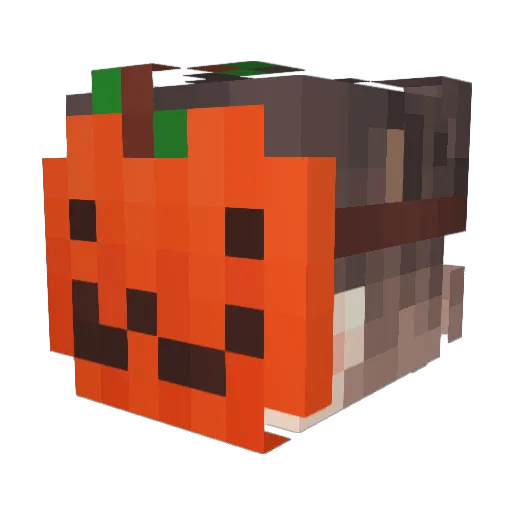 IcyPenguin11 Minecraft avatar head, 3D render
