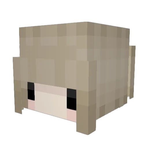 IcyPopsicle Minecraft avatar head, 3D render