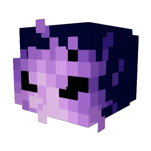 IcyStar_1337 Minecraft avatar head, 3D render