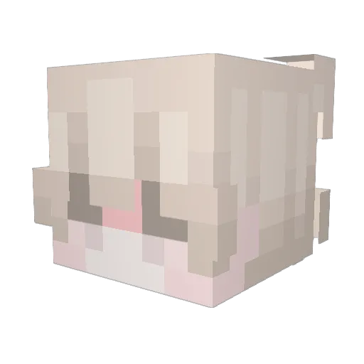 IcyTheWiz Minecraft avatar head, 3D render