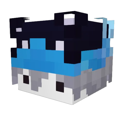 Icy_Liyt Minecraft avatar head, 3D render
