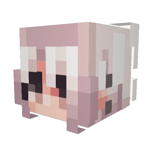 Icy_paws Minecraft avatar head, 3D render
