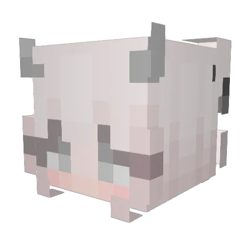 IcyyAero Minecraft avatar head, 3D render