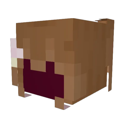 Id0notKn0w Minecraft avatar head, 3D render
