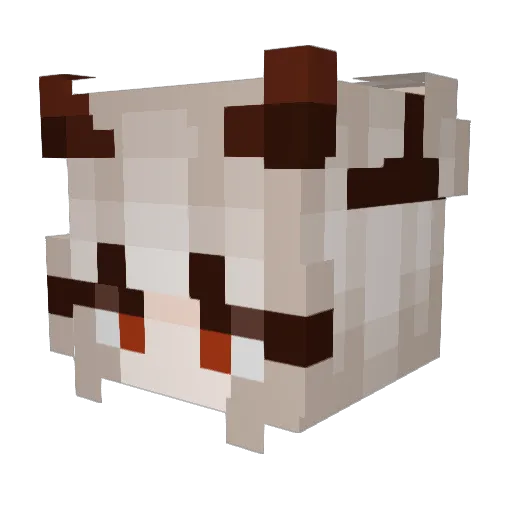 IdaBugs Minecraft avatar head, 3D render