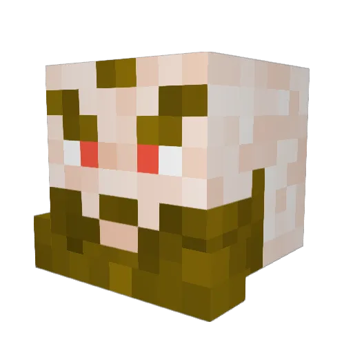 Ida_Best Minecraft avatar head, 3D render