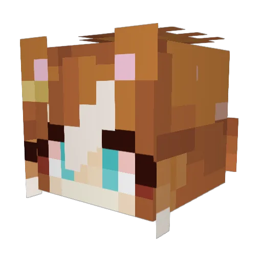 Idahoweeb Minecraft avatar head, 3D render