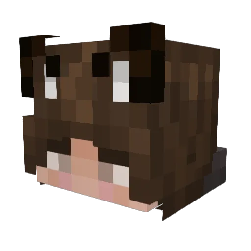 Idc43 Minecraft avatar head, 3D render