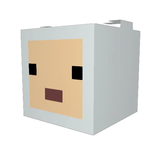 Iddysus Minecraft avatar head, 3D render