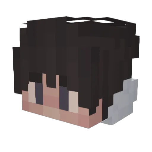 Idealend_a Minecraft avatar head, 3D render