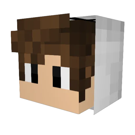 Ideennnn Minecraft avatar head, 3D render