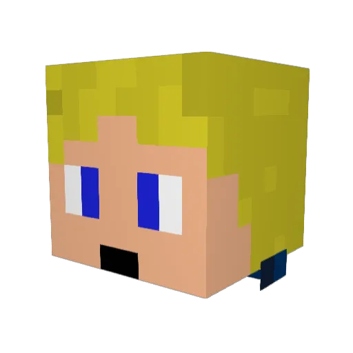 Idefix44 Minecraft avatar head, 3D render