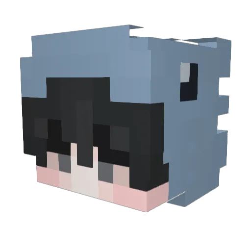Ident1tyUnkn0wn Minecraft avatar head, 3D render
