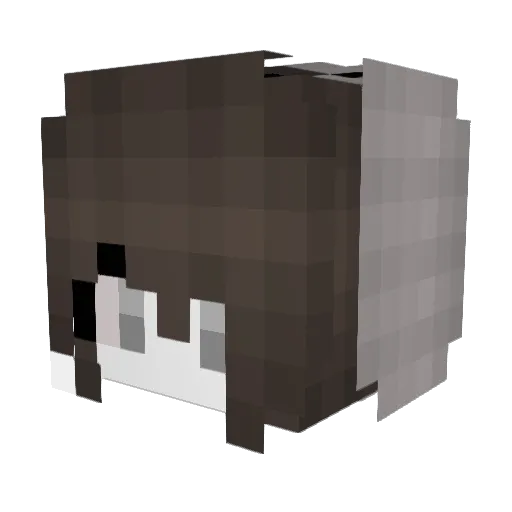 IdiotAna Minecraft avatar head, 3D render
