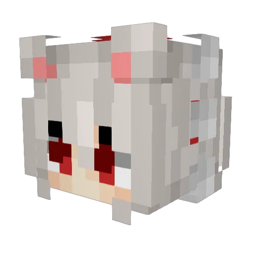 IdiotFound Minecraft avatar head, 3D render