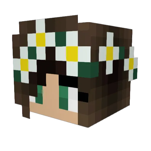 IdiotMaagd69 Minecraft avatar head, 3D render