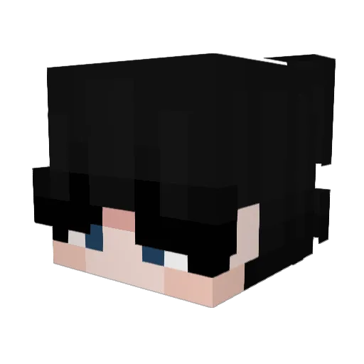 Idiotenwatch Minecraft avatar head, 3D render
