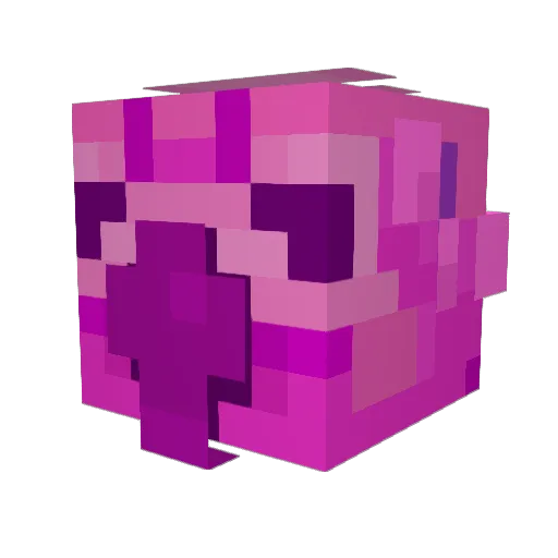 IdioticNing Minecraft avatar head, 3D render