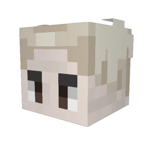 IdioticTendency Minecraft avatar head, 3D render