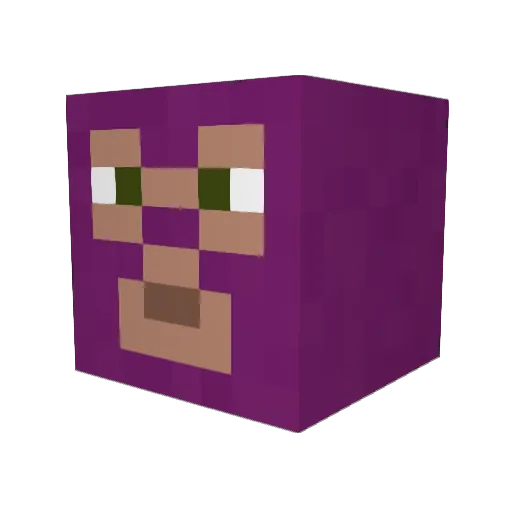 IdiotusCretinus Minecraft avatar head, 3D render
