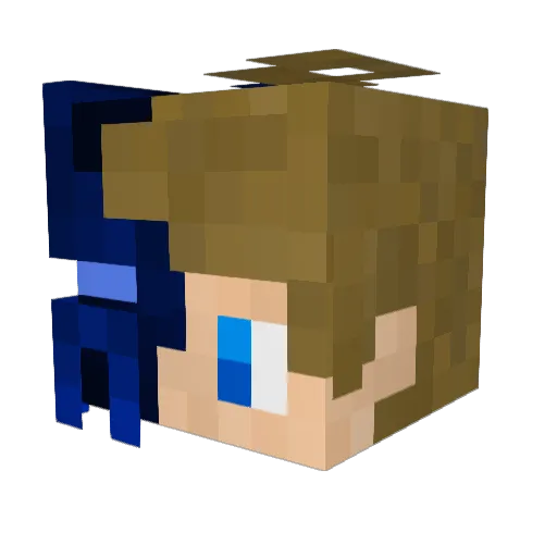 Idititdy Minecraft avatar head, 3D render