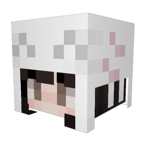 Idixwayy Minecraft avatar head, 3D render