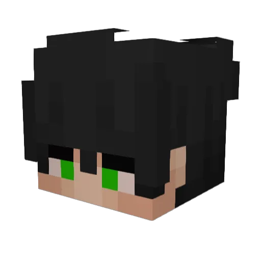 Idk1_140 Minecraft avatar head, 3D render