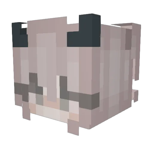 IdkIce Minecraft avatar head, 3D render