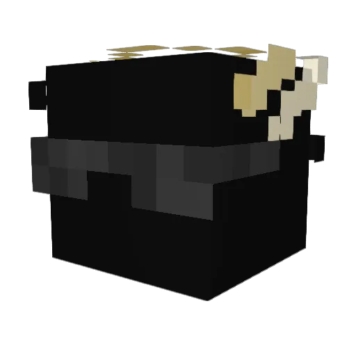 IdkWhat_IdkMean Minecraft avatar head, 3D render
