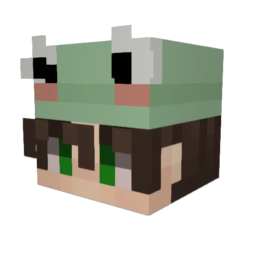 IdkWoozy Minecraft avatar head, 3D render